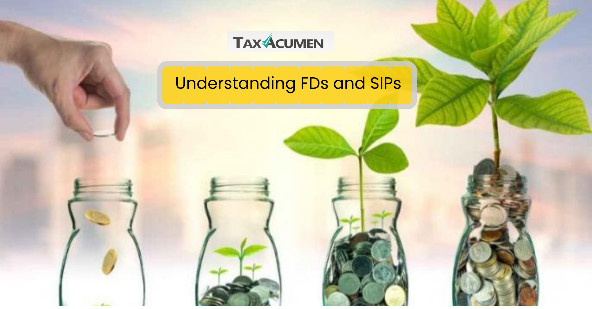 SIP vs FD: Which Is Better for Long-Term Wealth Creation?